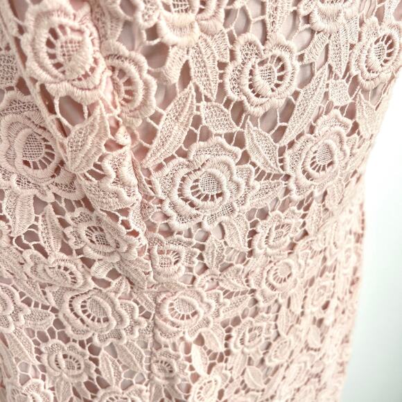 Talbots Petites Sleeveless Floral Crochet Lace Dress Womens Sz 8P Pink Lined - Picture 4 of 12